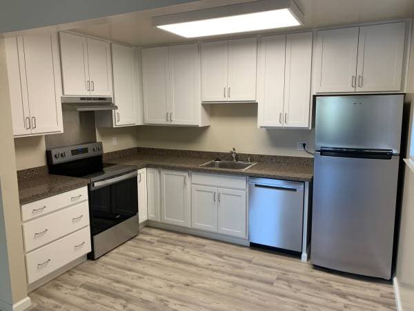 1BR/1BA Apartment · Belmont photo 1