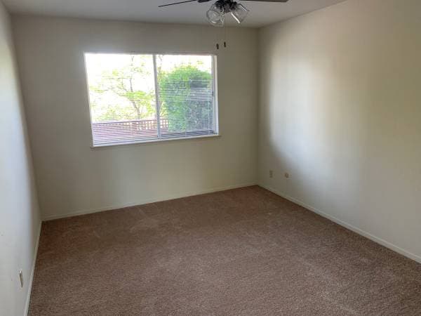 1BR/1BA Apartment · Belmont photo 5