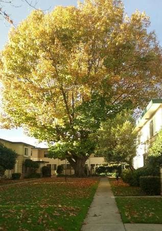 2BR/1BA Townhouse · San Leandro photo 3