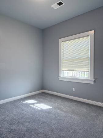 3BR/2BA Apartment · Alameda photo 5