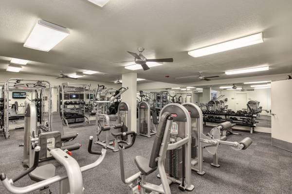2BR/1BA Apartment on Creekside Drive · Walnut Creek photo 5