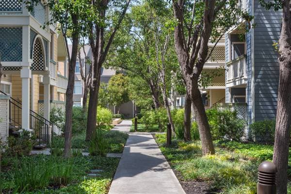 2BR/2BA Apartment · San Jose photo 2
