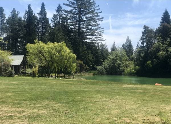 2BR/1BA Single Family House on Roseman Creek Road · Point Arena photo 1