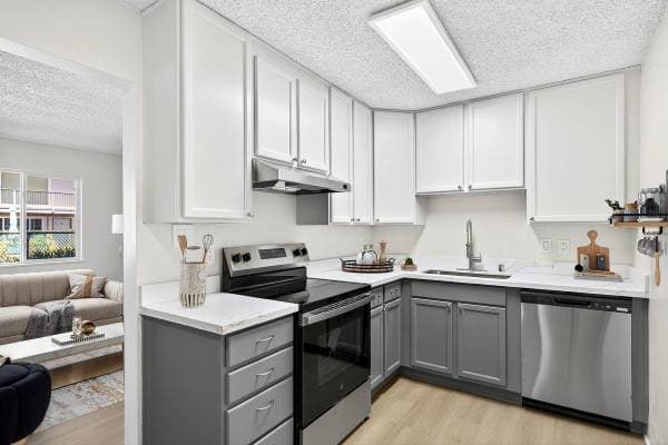 2BR/2BA Apartment · San Rafael photo 1