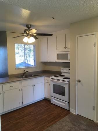 1BR/1BA Apartment · Rohnert Park photo 4