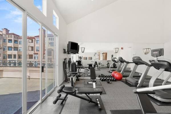 2BR/2BA Apartment · San Mateo photo 5