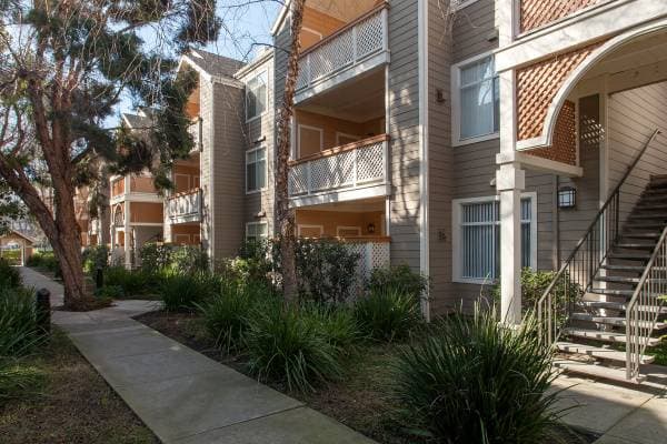2BR/2BA Apartment · San Jose photo 4