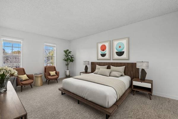 2BR/1BA Apartment on Hollis Avenue · Campbell photo 3