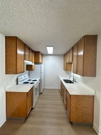 1BR/1BA Apartment · San Rafael photo 1