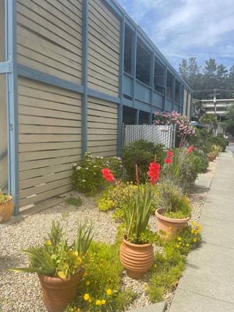 2BR/1BA Apartment · Moraga photo 1