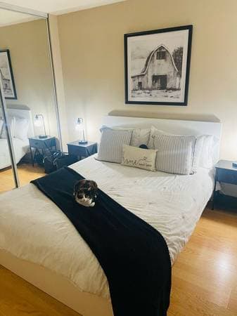 2BR/1BA Apartment · Moraga photo 3