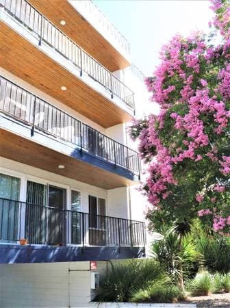 3BR/2BA Apartment · San Leandro photo 2