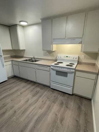 1BR/1BA Apartment on Bodega Ave · Sebastopol photo 1