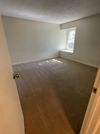 1BR/1BA Apartment on Bodega Ave · Sebastopol photo 4