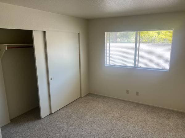 2BR/1BA Apartment on Mission Blvd. · Santa Rosa photo 3