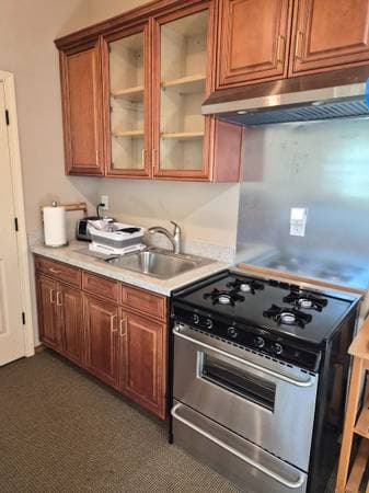 1BR/1BA In Law Adu · Napa photo 2