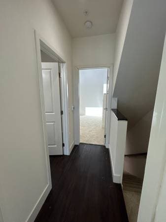 2BR/2BA Apartment · San Jose photo 3