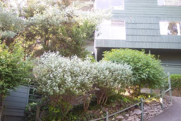 2BR/1BA Condo on La Loma Ave. · Berkeley photo 2