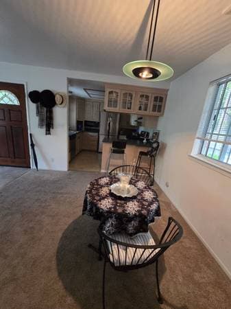 1BR/1BA In Law Adu · Walnut Creek photo 4
