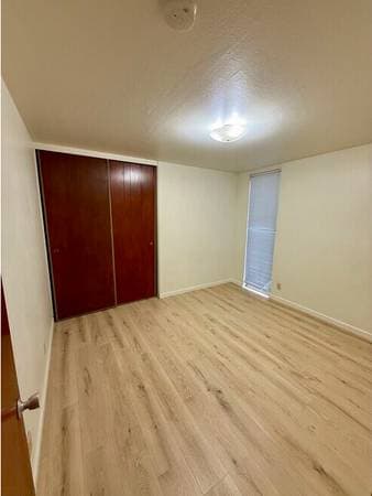 1BR/1BA Apartment on Carleton Street · Berkeley photo 4