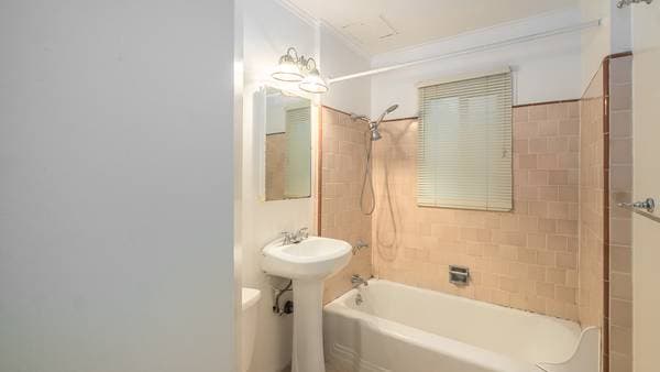 1BR/1BA Apartment on Buena Vista Ave · Alameda photo 5