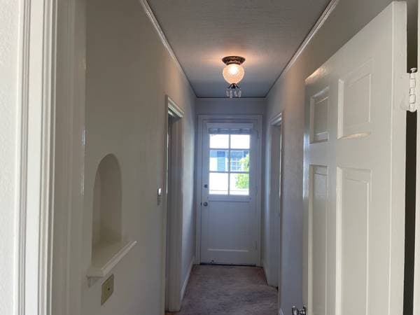 1BR/1BA Apartment on Arroyo Ct · San Mateo photo 5