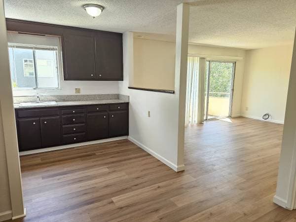 1BR/1BA Apartment · Albany photo 3