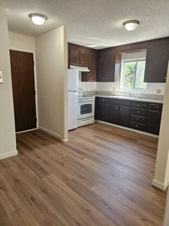 1BR/1BA Apartment · Albany photo 4