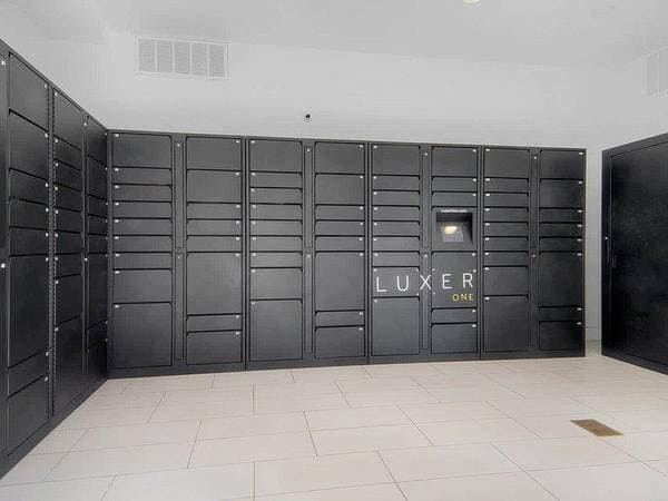 2BR/3BA Apartment · San Jose photo 4