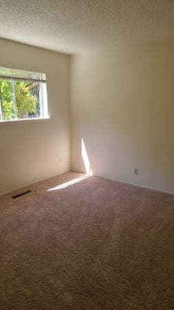 2BR/1BA Apartment on Poinciana · Santa Clara photo 4