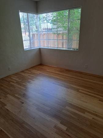 1BR/1BA Apartment · San Jose photo 2