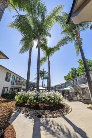 2BR/1BA Apartment on Hollis Avenue · Campbell photo 1