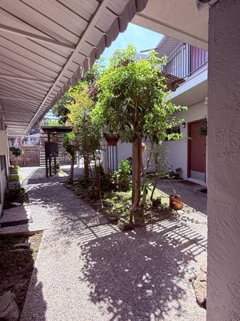 1BR/1BA Apartment on Roosevelt Ave. · Berkeley photo 4