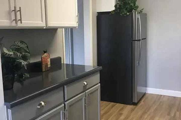 1BR/1BA Apartment on Lewelling Blvd · San Lorenzo photo 4