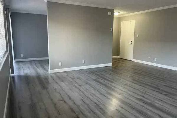 1BR/1BA Apartment on Lewelling Blvd · San Lorenzo photo 5