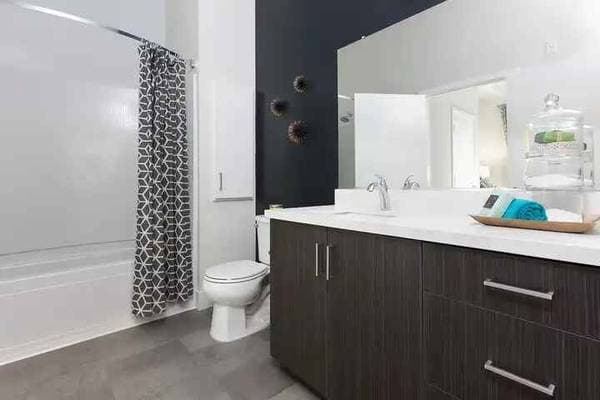 1BR/1BA Apartment on Artist Walk Cmn · Fremont photo 5