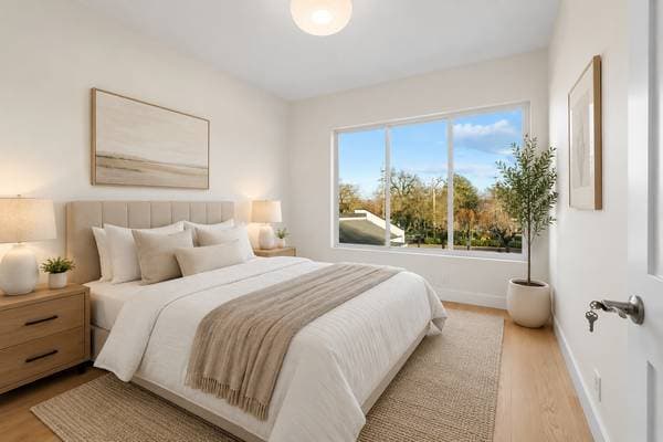 Condos on El Camino Real · Redwood City photo 3