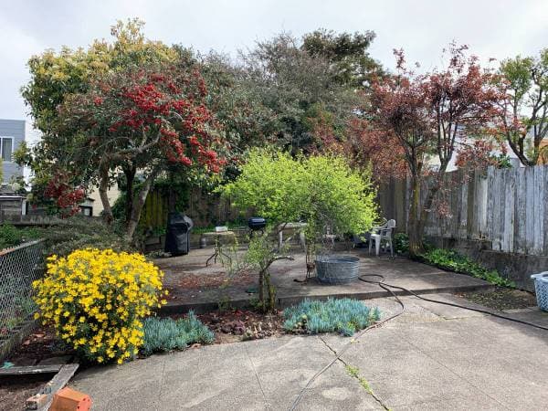 1BR/1BA Apartment on 12th Avenue · San Francisco photo 3