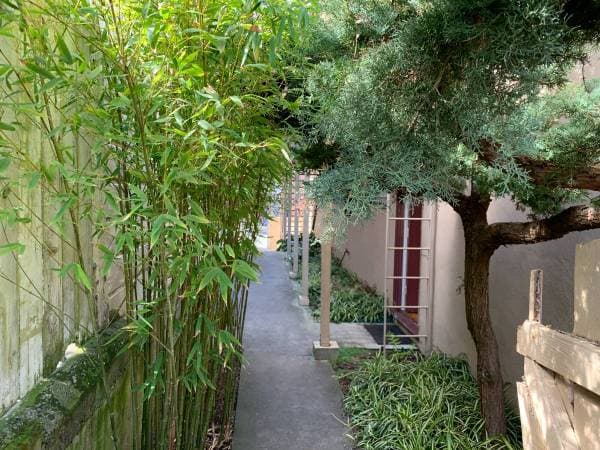 1BR/1BA Apartment on 12th Avenue · San Francisco photo 4