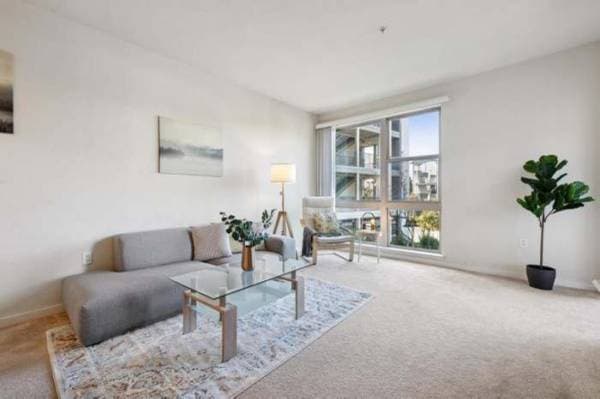 1BR/1BA Condo on El Camino Real · San Francisco photo 2