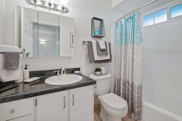 1BR/1BA Apartment · New York photo 4