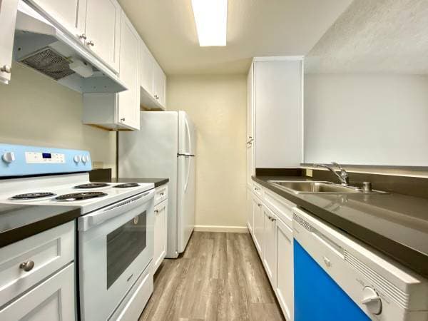 1BR/1BA Apartment · Bronx photo 1