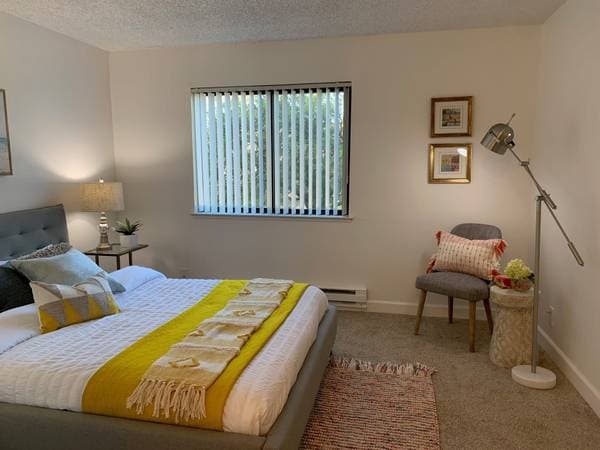 1BR/1BA Apartment · Alameda photo 4