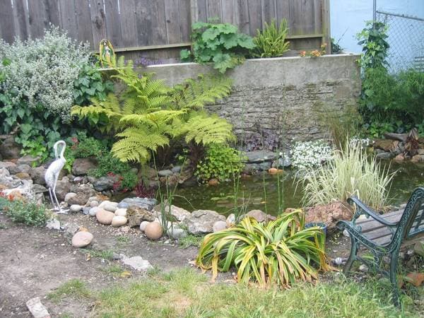 1BR/1BA Flat · Oakland photo 5