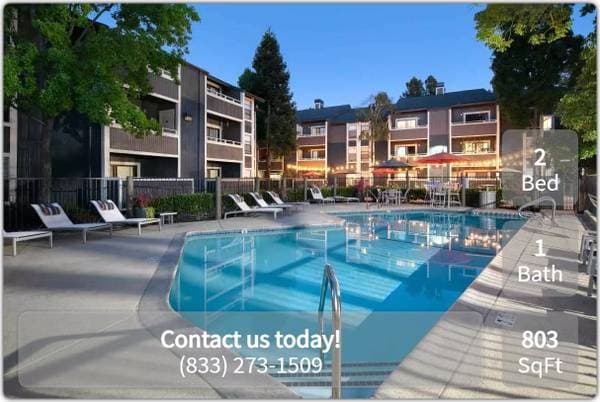 2BR/1BA Apartment on Fig Tree Ln · Pleasant Hill photo 3