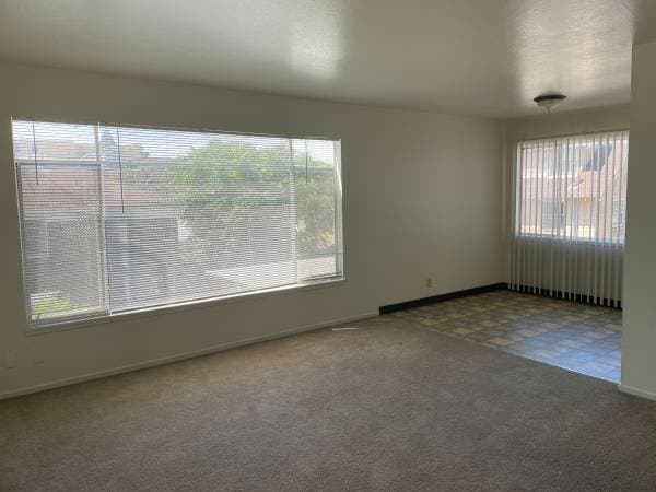 Apartments on Ellsworth Street · Berkeley photo 2