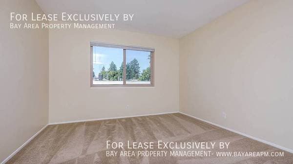 1BR/1BA Apartment on Monte Diablo Avenue · San Mateo photo 5
