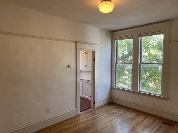 1BR/1BA Apartment · Berkeley photo 4