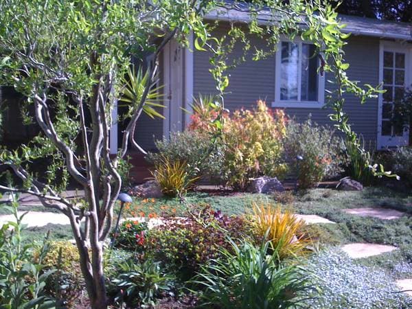 0BR/1BA Single Family House · El Cerrito photo 2