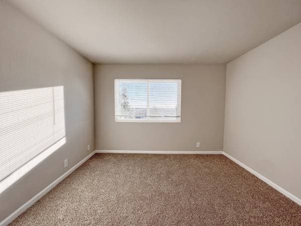 1BR/1BA Apartment on 21st Ave · Oakland photo 3